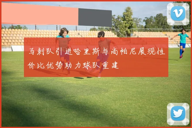 马刺队引进哈里斯与尚帕尼展现性价比优势助力球队重建